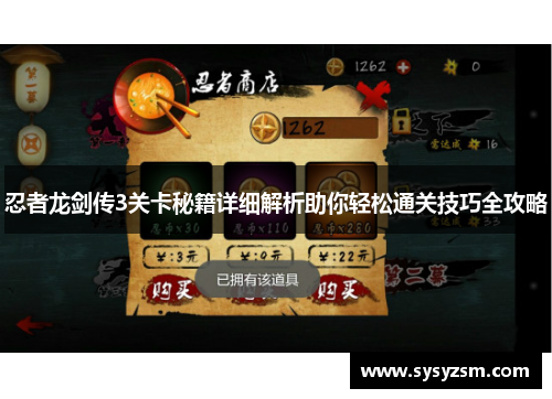 忍者龙剑传3关卡秘籍详细解析助你轻松通关技巧全攻略