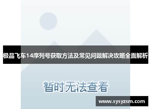 极品飞车14序列号获取方法及常见问题解决攻略全面解析