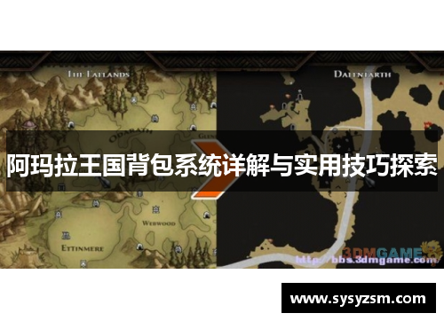 阿玛拉王国背包系统详解与实用技巧探索